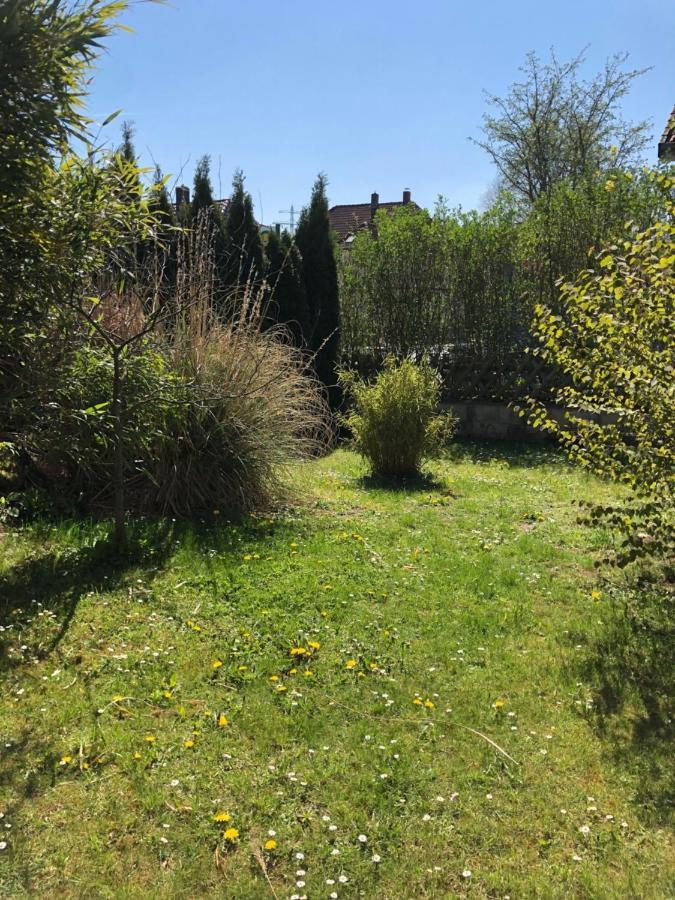 Sieben-Berge-Ferienwohnungen Alfeld  Exteriér fotografie